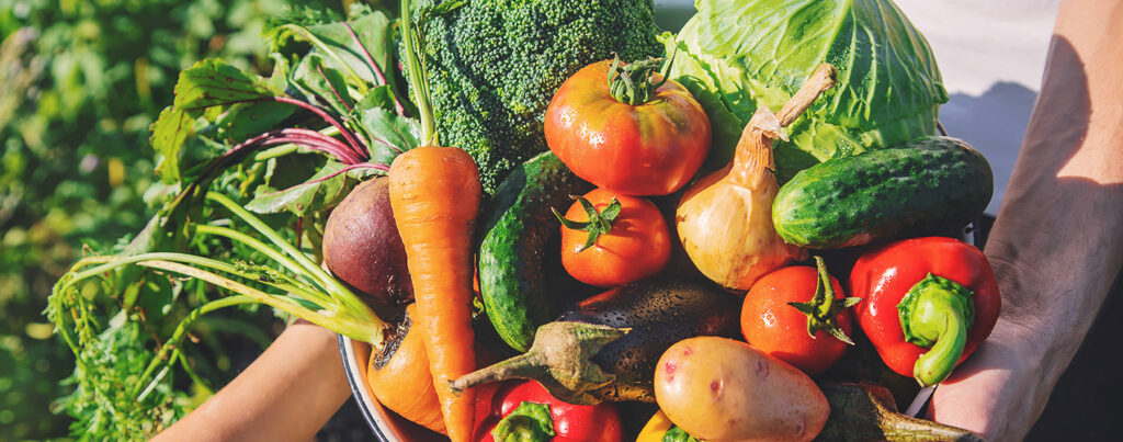 personne tenant des légumes dans les mains