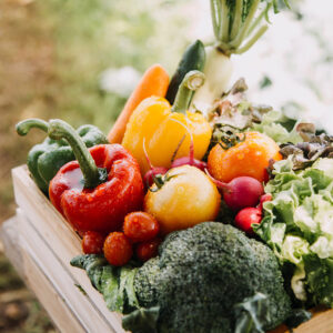female farmer working early on farm holding wood basket of fresh