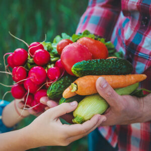 father and daughter are harvest vegetables from the vegetable garden in hands. selective focus.