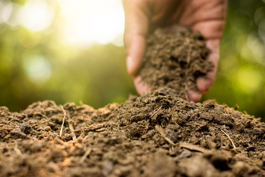composte à la ferme lorsque le soleil du matin brille
